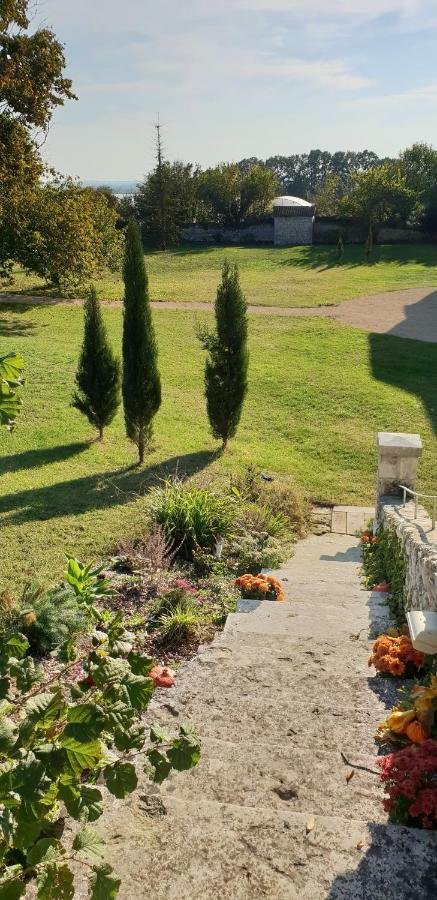 Domaine De Bourgville Monts-sur-Guesnes Exterior photo